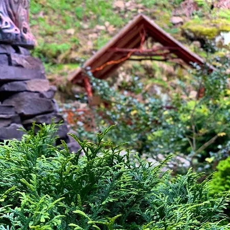 з 2 спальними кімнатами *