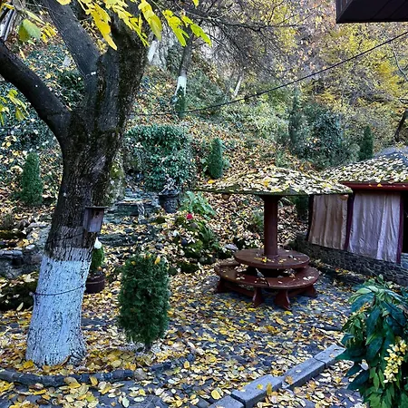 фігля з видом на гори شقة