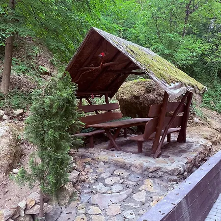 фігля з видом на гори